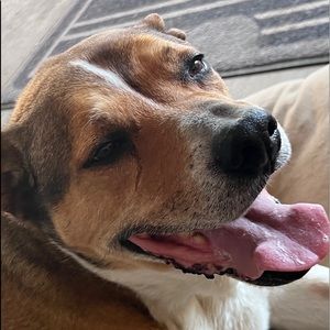 Meet your Posher, Jazzine